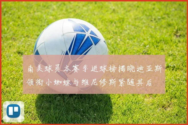 南美球员本赛季进球榜揭晓迪亚斯领衔小蜘蛛与维尼修斯紧随其后