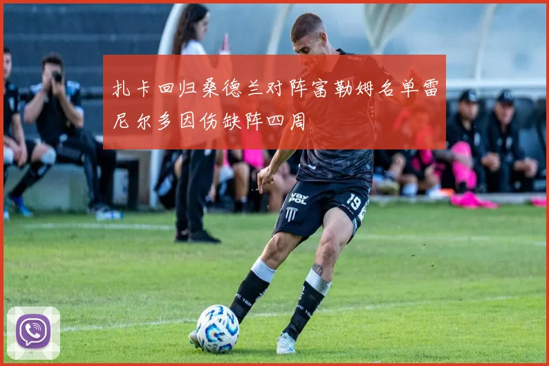 扎卡回归桑德兰对阵富勒姆名单雷尼尔多因伤缺阵四周