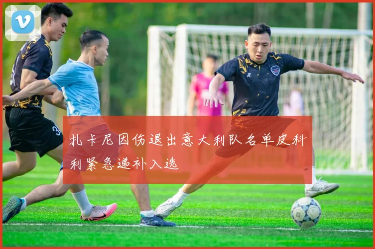 扎卡尼因伤退出意大利队名单皮科利紧急递补入选