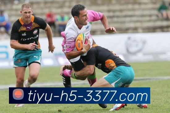 奖项证书